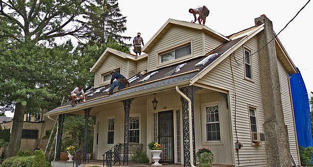 Best New Roof Installation  in Kula, HI